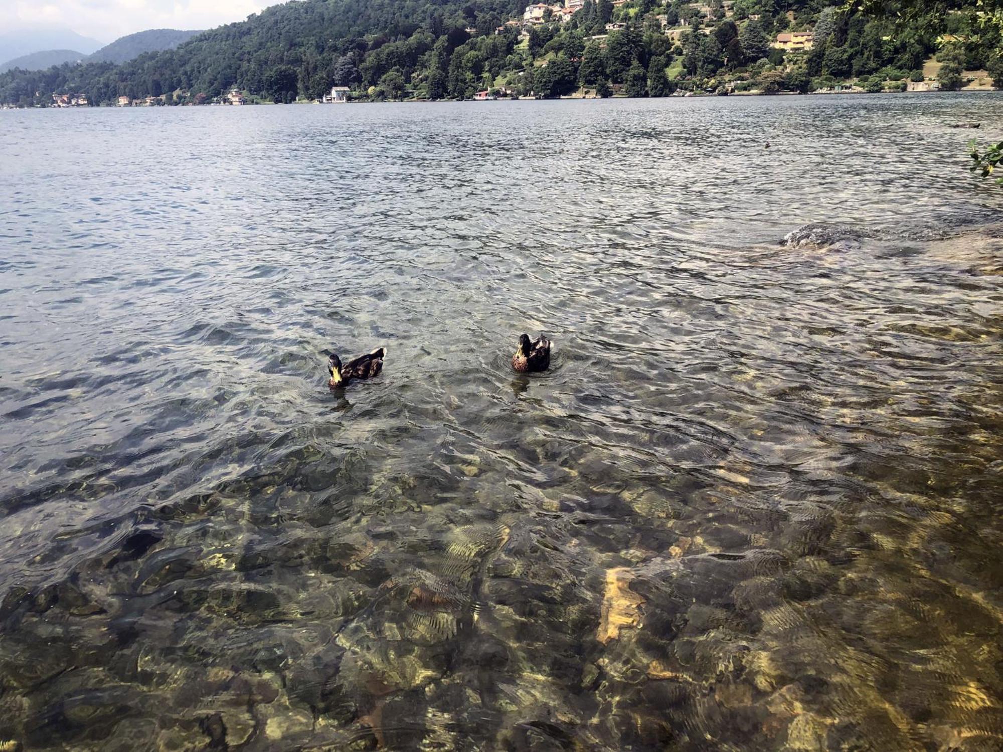 Appartamento Vacanze Al Lago Orta San Giulio Eksteriør billede