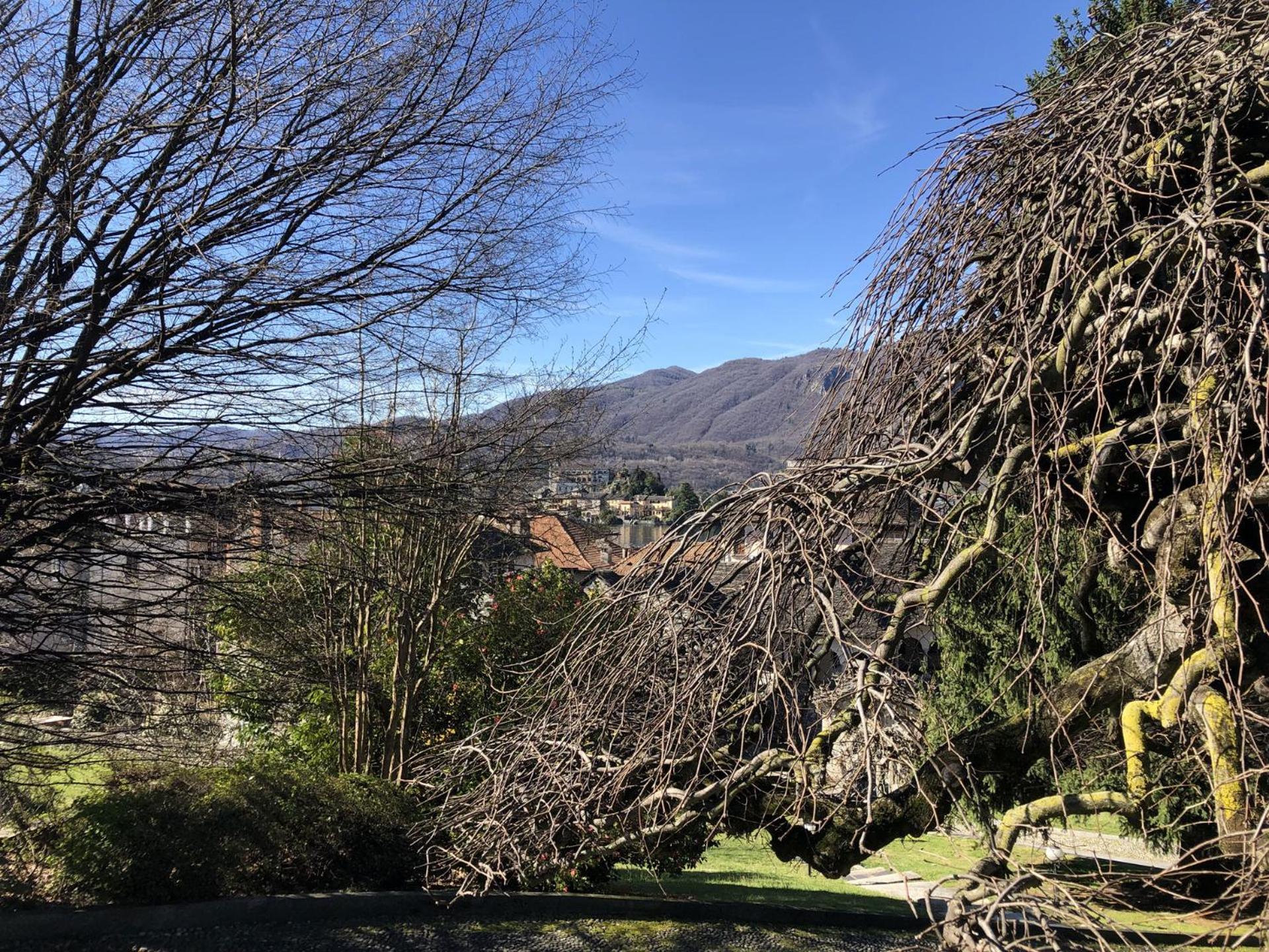 Appartamento Vacanze Al Lago Orta San Giulio Eksteriør billede